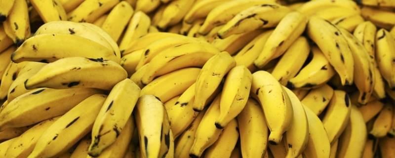 菲律宾香蕉和国产香蕉区别
